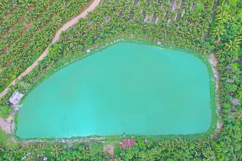 你知道哪些国家的名称和河流 湖泊有关 