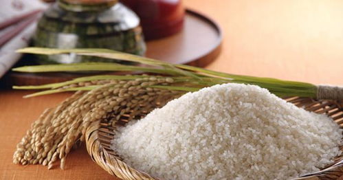 家里大米易生虫,超市大米为什么能存放很长时间 原来如此