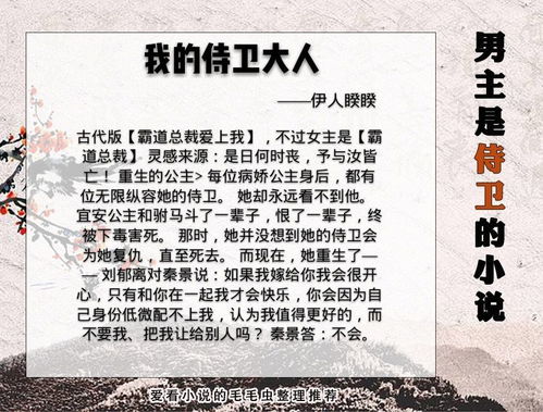 男主是侍卫的小说,如果爱无法用言语来表达,我愿意用生命来证明 