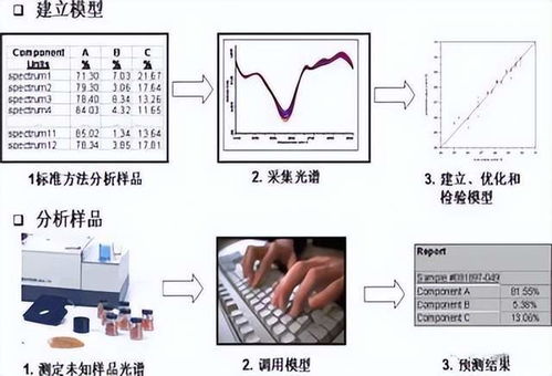 查重技术详解：叠加还是独立检测？