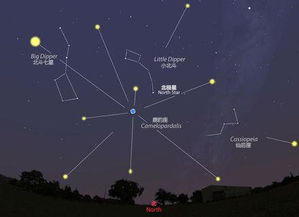 6月26是什么流星雨(徐州百分百教育科技有限公司)