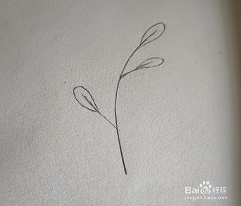 铅笔画 怎么画一款简单好看的绿植