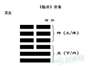 地泽临 卦 周易算命知识 安康起名网免费取名 