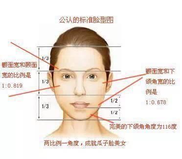 别再跟风瓜子脸了 这些脸型更漂亮,深得男人喜爱