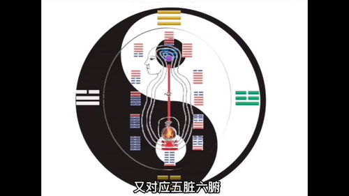 立夏对应易经的哪个卦 十二消息卦又叫十二辟卦 罗盘 易学智慧 传统文化 