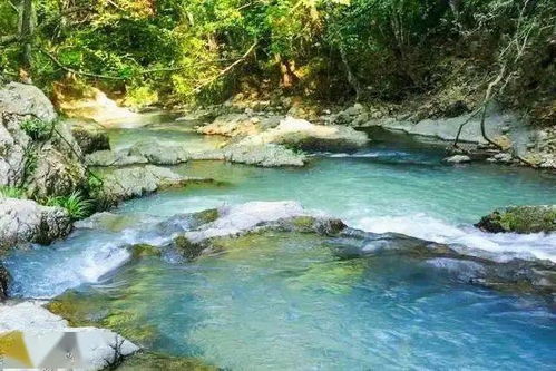 桂花谷温泉,福建宁德桂花谷温泉景点介绍-第3张图片