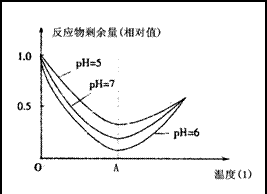 酶的添加量4000U/g 原料什么意思?