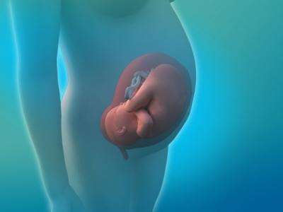 胎儿能做亲子鉴定吗(怀孕期间可以做亲子鉴定吗)