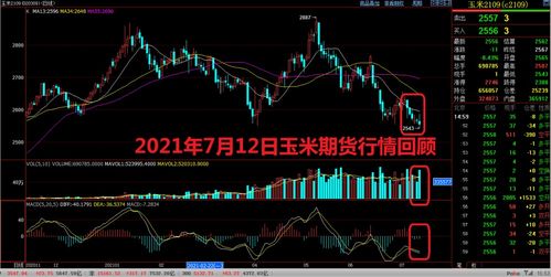 玉米期货2109数据