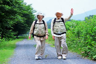 适合老年人旅游的,老年人旅游攻略：享受美好的晚年时光