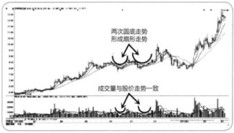 小散如何判断股市里的真假消息,与庄家操控利好利空预期