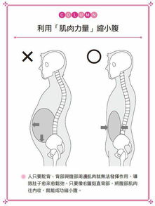 只需一个动作1小时肚子瘦3.3公分,你信还是不信 