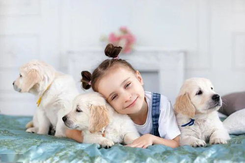 家里有孩子的,就应该养这6种狗狗,安心又省力