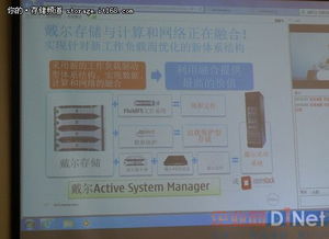 dell 存储 虚拟端口 未处于其父选端口中 已降级