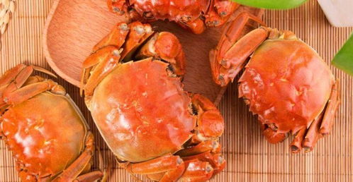 金秋时节吃螃蟹,清蒸螃蟹最鲜美,看看大厨怎么做