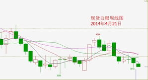 大家来预测一下火箭的走势吧！