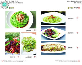 爽口蔬菜美食菜谱设计PSD素材免费下载 编号6056301 红动网 