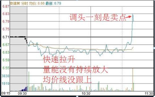 我持00开头的股票可以打新股7和3开头的股票吗