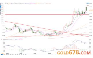 现货黄金多头或空头究竟意味着什么 现货黄金多头或空