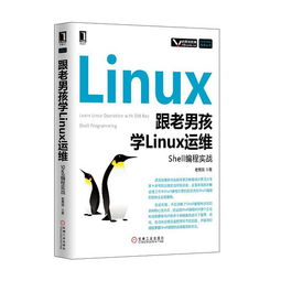 曙光linux企业运维实战pdf,曙光服务器装linux系统