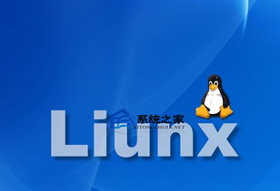 linux吧,常用命令详解