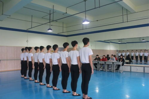 四川省舞蹈学校好不好,四川省舞蹈学校的介绍