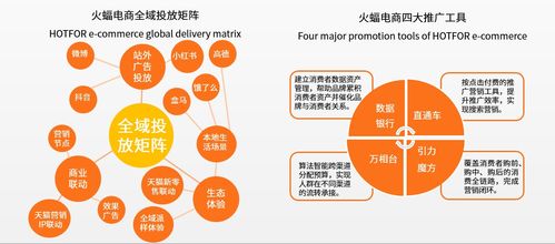 政策 市场 双重推动,火蝠电商全面赋能品牌创新成长 