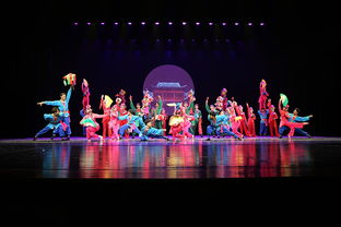 北京市舞蹈学校是一所著名的专业舞蹈教育机构，成立于1959年，是中国舞蹈教育的发源地之一