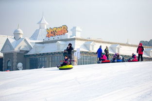 沈阳到抚顺热高滑雪场旅游团多少钱 沈阳到热高滑雪场一日游