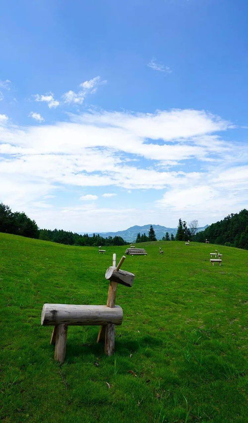 打卡巴渝美景 5月1日,横山花仙谷开园 横山游玩攻略,这场打卡活动告诉你