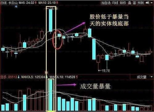 请问哪里可以查到股票一年股价均价？