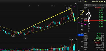 西部矿业这只股票怎么样？