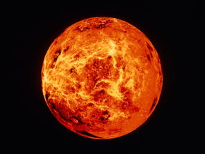 太阳弧 金星,什么是太阳弧
