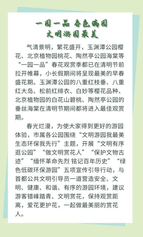 清明节搞什么活动