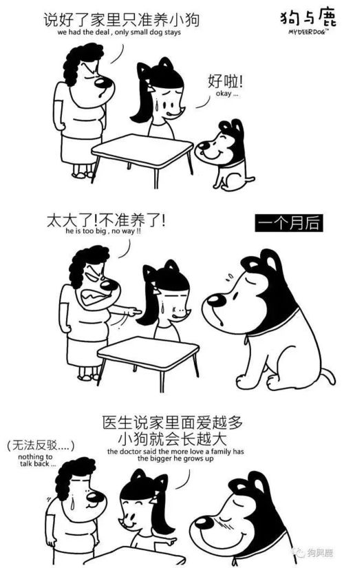 狗与鹿 养狗的人会缩水 但我们的漫画不会 