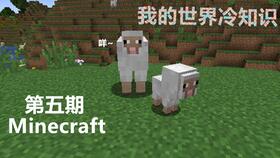 飞向天空 我的世界冷知识第十二期Minecraft