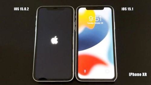 实测iOS15.1运行速度 这6款旧iPhone升级后性能提升了吗