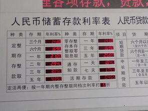 二万块提2个点是多少钱