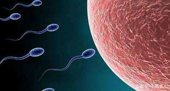 杜绝6个习惯避免精子性不育