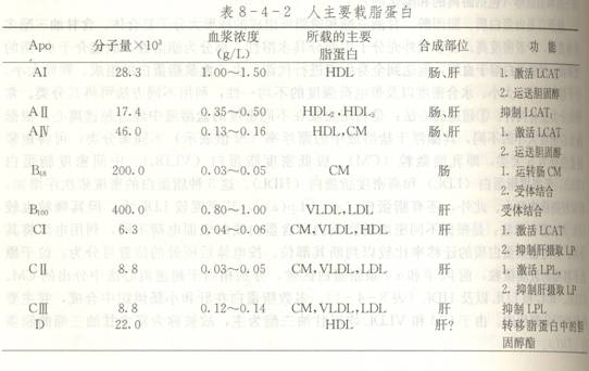 载脂蛋白1.80：是正常还是异常？