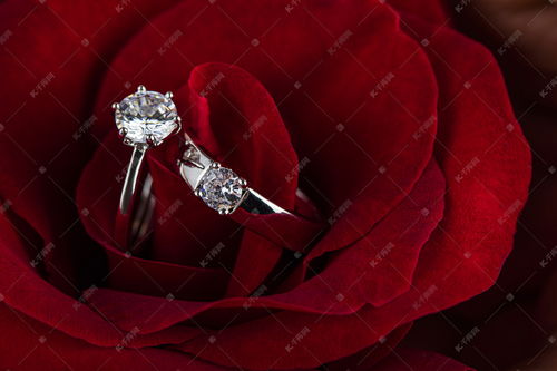 玫瑰花里的戒指高清摄影大图 千库网 