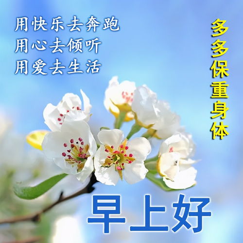 祝福家人健康的句子简短