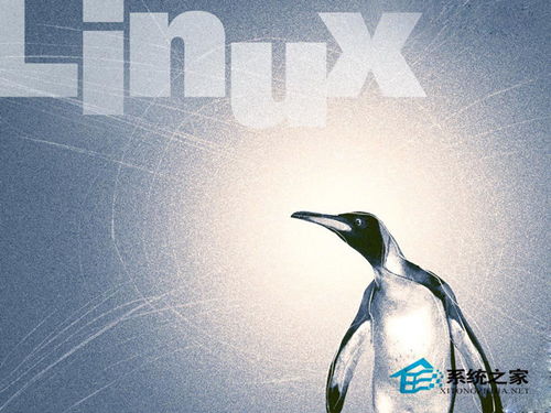 linux怎么解压gz的文件,linux如何解压gz文件