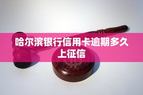 中信信用卡逾期多久会上征信,