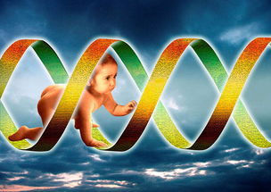 生孩子不要女人 未来胚胎技术让两个男人也能生