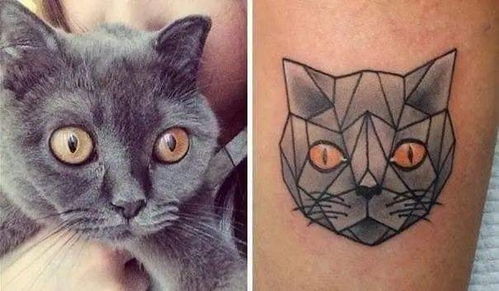 来看大家的猫纹身,也太酷了吧 
