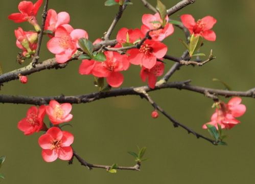 2021年 3月4日 横财势头大好,运势会旺如火,生活富贵如意十二生肖排行榜