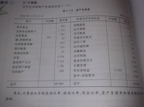 财务会计报表分析,财务报表的分析