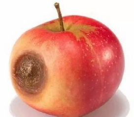 你一定很好奇 吃烂苹果很容易致癌是真是假 