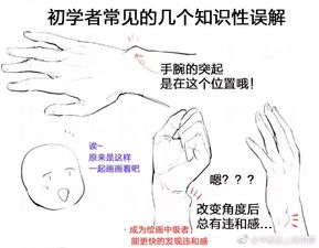 初学者怎样练习漫画 